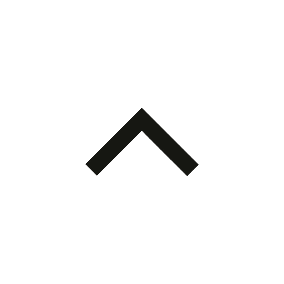 Scroll to Top